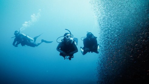 Deep Diver Specialty course