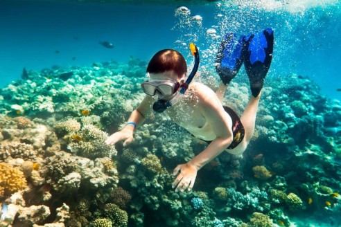 Explore Nha Trang Bay Snorkeling trip