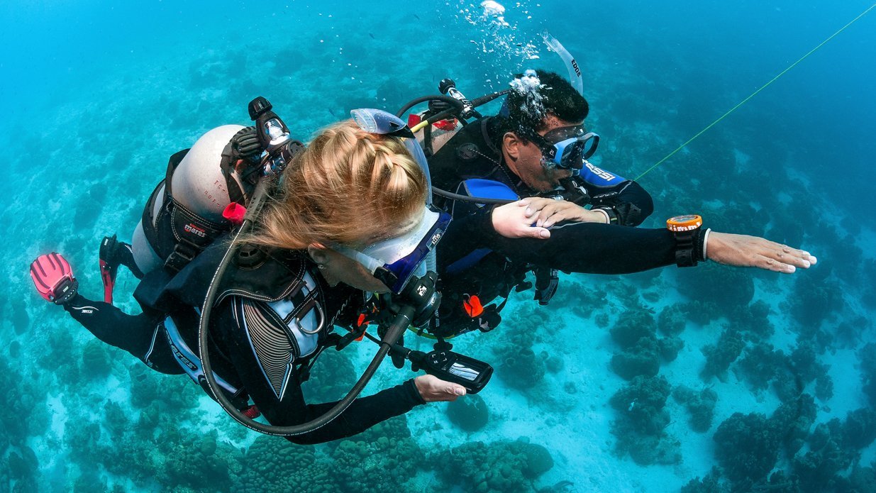 Underwater Navigation Diver