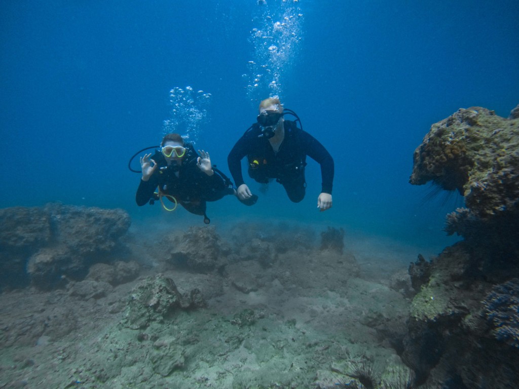 Upgrade 5-star snorkeling to one scuba dive